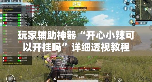 玩家辅助神器“开心小辣可以开挂吗”详细透视教程
