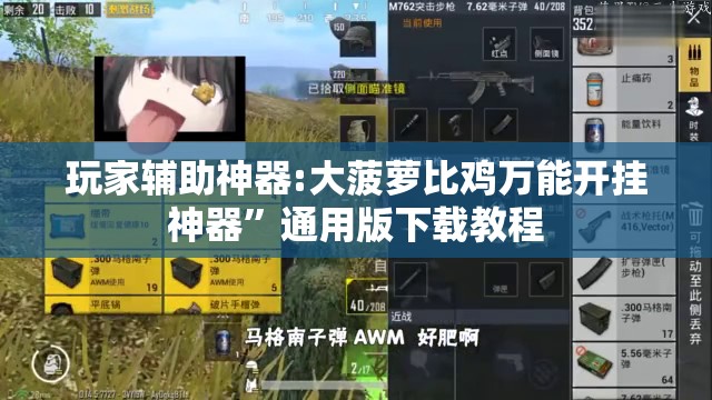 玩家辅助神器:大菠萝比鸡万能开挂神器”通用版下载教程