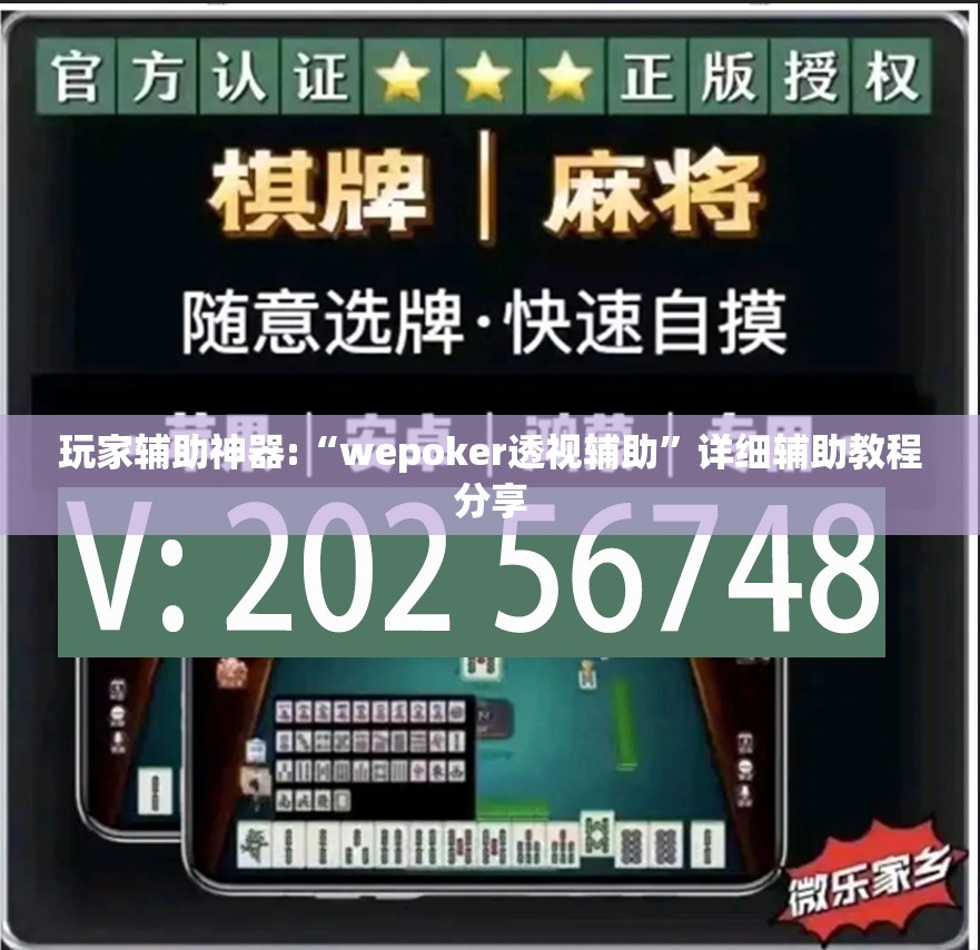 玩家辅助神器:“wepoker透视辅助	”详细辅助教程分享