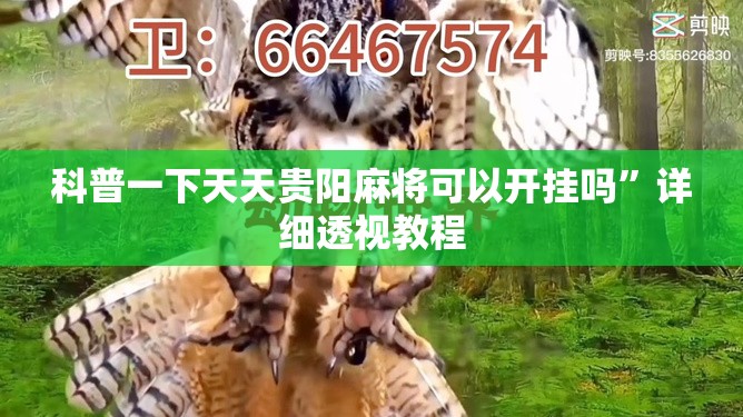 科普一下天天贵阳麻将可以开挂吗”详细透视教程