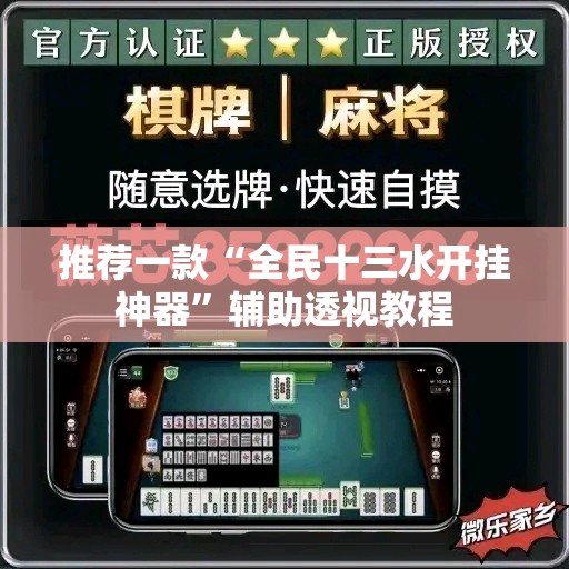 推荐一款“全民十三水开挂神器	”辅助透视教程