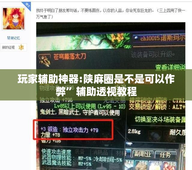 玩家辅助神器:陕麻圈是不是可以作弊”辅助透视教程