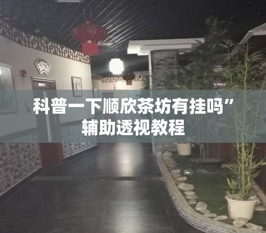 科普一下顺欣茶坊有挂吗”辅助透视教程