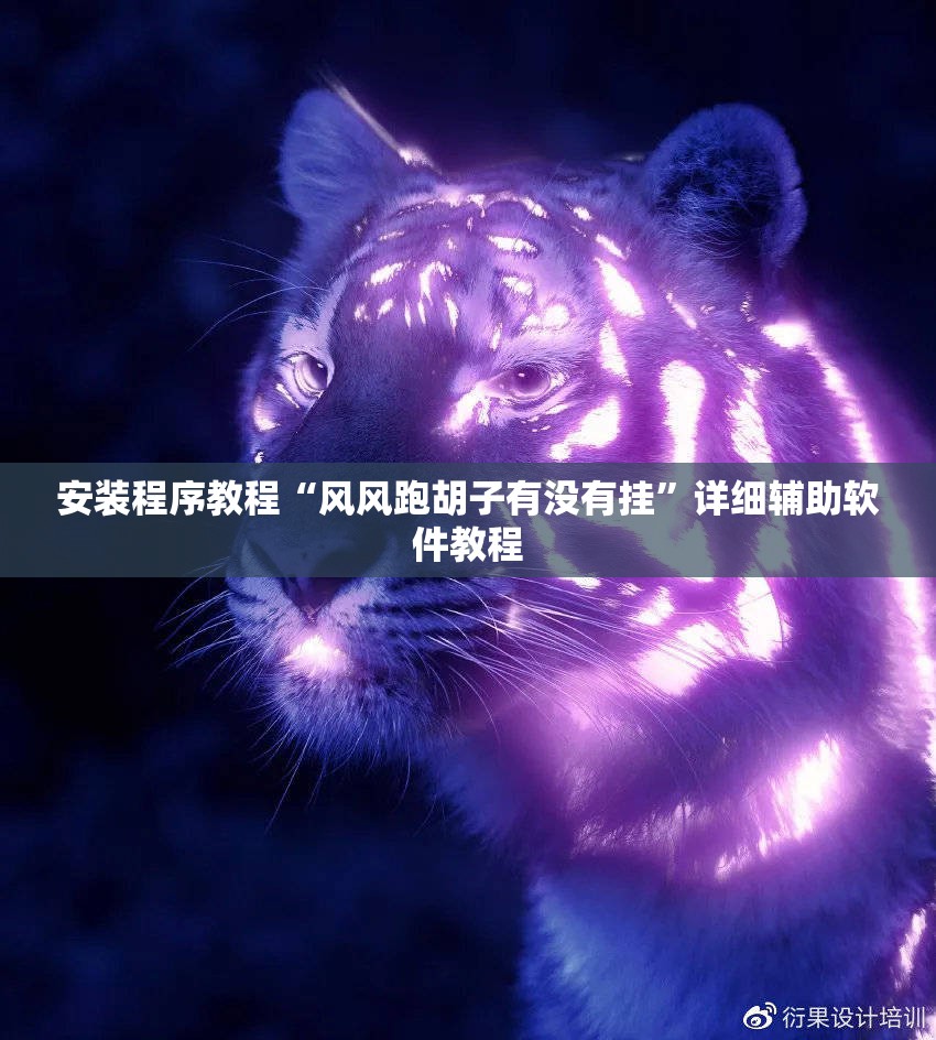 安装程序教程“风风跑胡子有没有挂”详细辅助软件教程