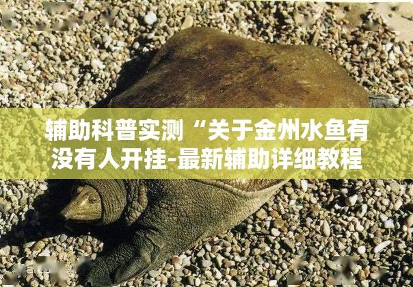 辅助科普实测“关于金州水鱼有没有人开挂-最新辅助详细教程 辅助科普实测“关于金州水鱼有没有人开挂-最新辅助详细教程