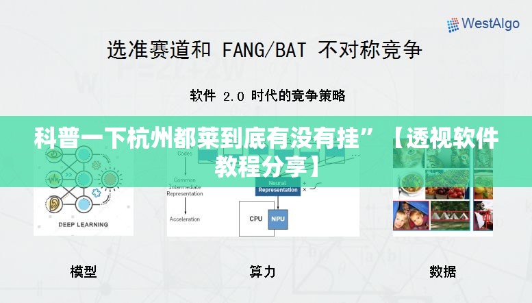 科普一下杭州都莱到底有没有挂”【透视软件教程分享】