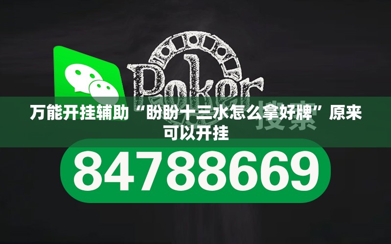 万能开挂辅助“盼盼十三水怎么拿好牌”原来可以开挂