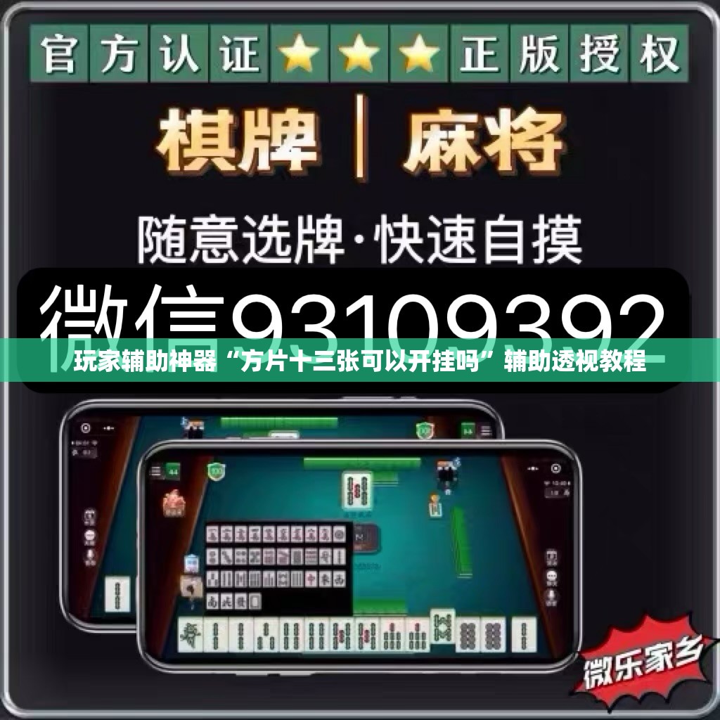 玩家辅助神器“方片十三张可以开挂吗”辅助透视教程