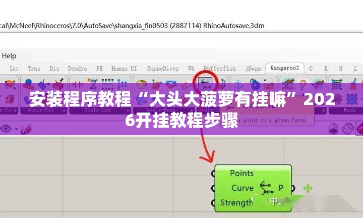 安装程序教程“大头大菠萝有挂嘛”2026开挂教程步骤