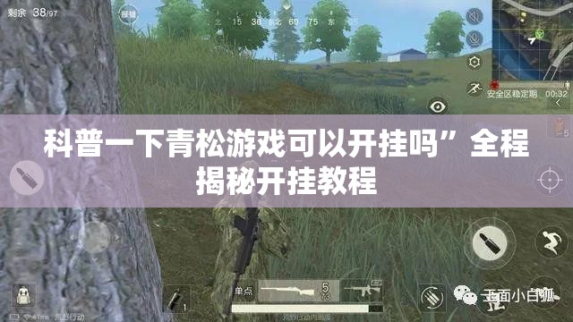 科普一下青松游戏可以开挂吗”全程揭秘开挂教程