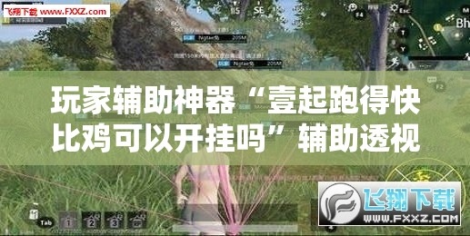 玩家辅助神器“壹起跑得快比鸡可以开挂吗”辅助透视教程