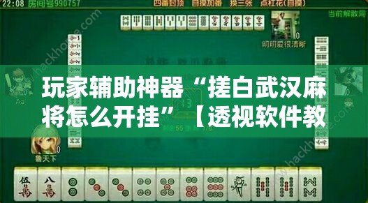 玩家辅助神器“搓白武汉麻将怎么开挂	”【透视软件教程分享】