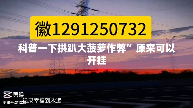 科普一下拱趴大菠萝作弊”原来可以开挂