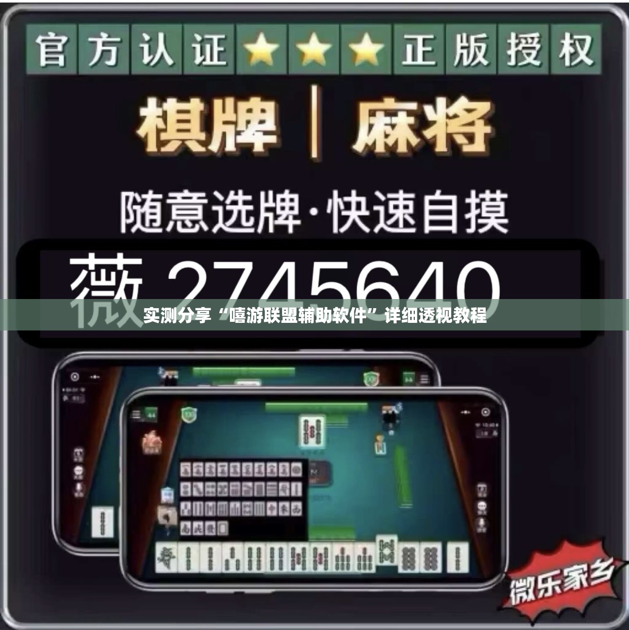 实测分享“嘻游联盟辅助软件”详细透视教程