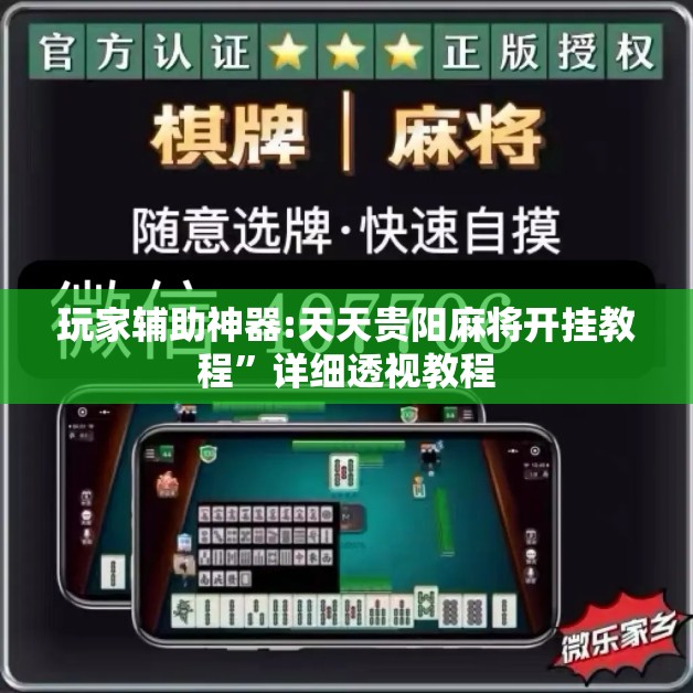 玩家辅助神器:天天贵阳麻将开挂教程”详细透视教程