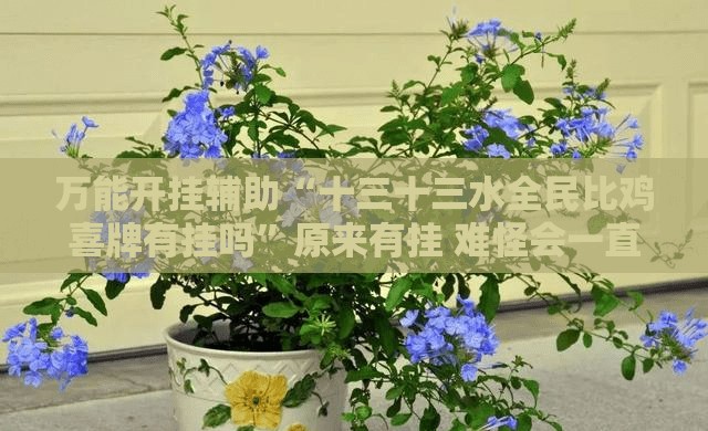 万能开挂辅助“十三十三水全民比鸡喜牌有挂吗”原来有挂 难怪会一直输