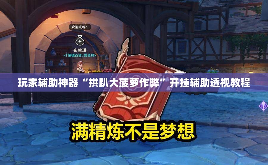 玩家辅助神器“拱趴大菠萝作弊”开挂辅助透视教程