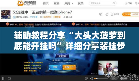 辅助教程分享“大头大菠萝到底能开挂吗	”详细分享装挂步骤