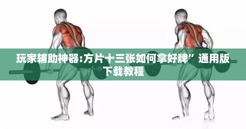 玩家辅助神器:方片十三张如何拿好牌”通用版下载教程