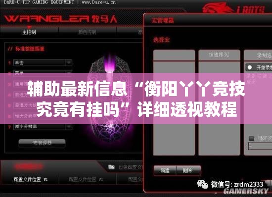 辅助最新信息“衡阳丫丫竞技究竟有挂吗	”详细透视教程