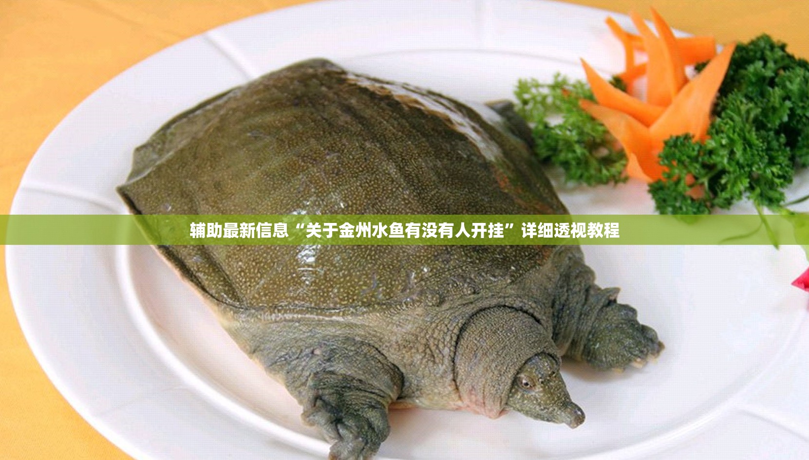 辅助最新信息“关于金州水鱼有没有人开挂	”详细透视教程