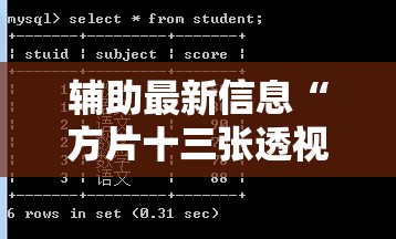 辅助最新信息“方片十三张透视”开挂辅助透视教程