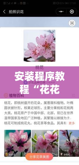 安装程序教程“花花生活圈可以开挂吗(必备神器)	”其实真的确实有挂