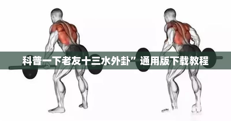 科普一下老友十三水外卦	”通用版下载教程