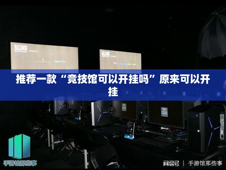 推荐一款“竞技馆可以开挂吗	”原来可以开挂