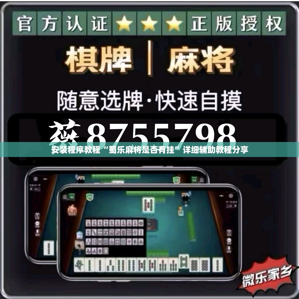安装程序教程“蜀乐麻将是否有挂”详细辅助教程分享