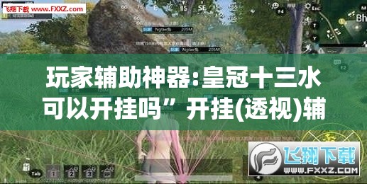玩家辅助神器:皇冠十三水可以开挂吗”开挂(透视)辅助教程