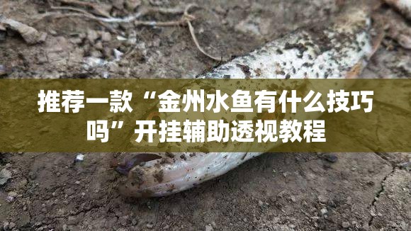 推荐一款“金州水鱼有什么技巧吗	”开挂辅助透视教程