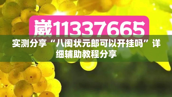 实测分享“八闽状元郎可以开挂吗”详细辅助教程分享