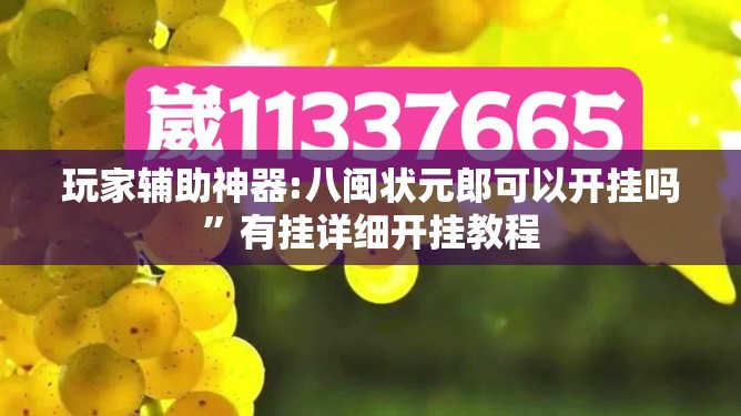 玩家辅助神器:八闽状元郎可以开挂吗”有挂详细开挂教程