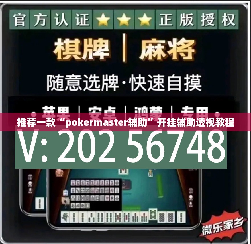 推荐一款“pokermaster辅助”开挂辅助透视教程