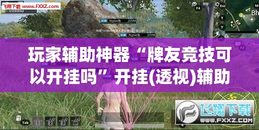 玩家辅助神器“牌友竞技可以开挂吗	”开挂(透视)辅助教程