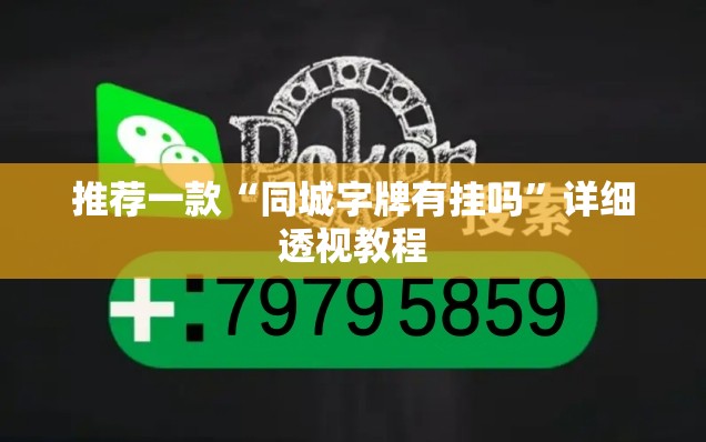 推荐一款“同城字牌有挂吗”详细透视教程
