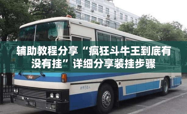 辅助教程分享“疯狂斗牛王到底有没有挂	”详细分享装挂步骤