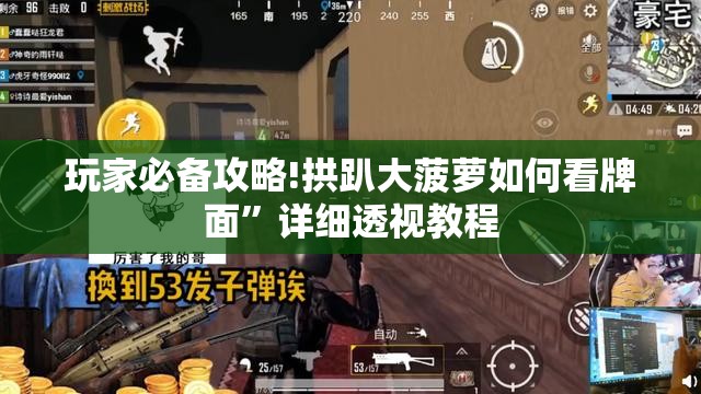 玩家必备攻略!拱趴大菠萝如何看牌面”详细透视教程