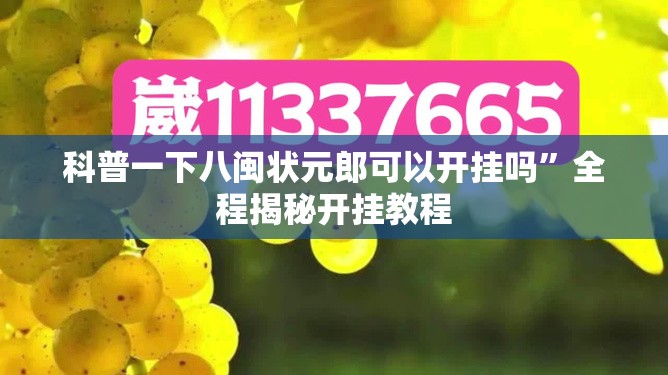 科普一下八闽状元郎可以开挂吗	”全程揭秘开挂教程