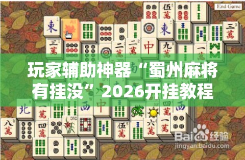 玩家辅助神器“蜀州麻将有挂没”2026开挂教程步骤