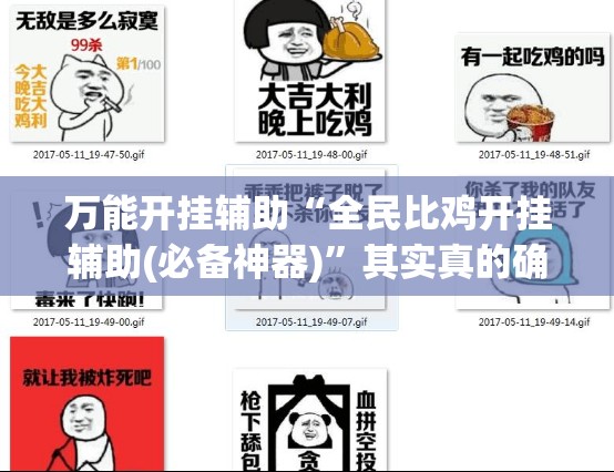 万能开挂辅助“全民比鸡开挂辅助(必备神器)”其实真的确实有挂
