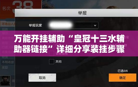 万能开挂辅助“皇冠十三水辅助器链接	”详细分享装挂步骤
