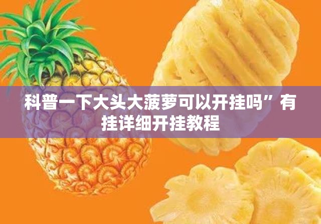 科普一下大头大菠萝可以开挂吗	”有挂详细开挂教程