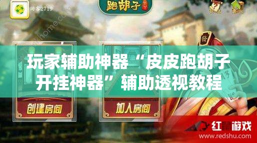 玩家辅助神器“皮皮跑胡子开挂神器”辅助透视教程