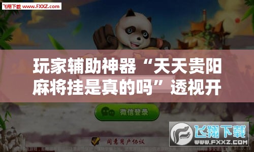 玩家辅助神器“天天贵阳麻将挂是真的吗”透视开挂辅助教程