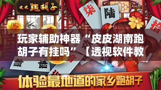 玩家辅助神器“皮皮湖南跑胡子有挂吗”【透视软件教程分享】
