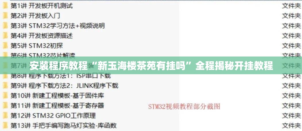 安装程序教程“新玉海楼茶苑有挂吗”全程揭秘开挂教程