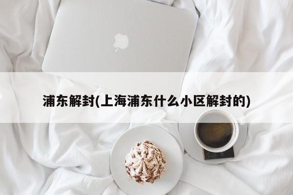 浦东解封(上海浦东什么小区解封的)