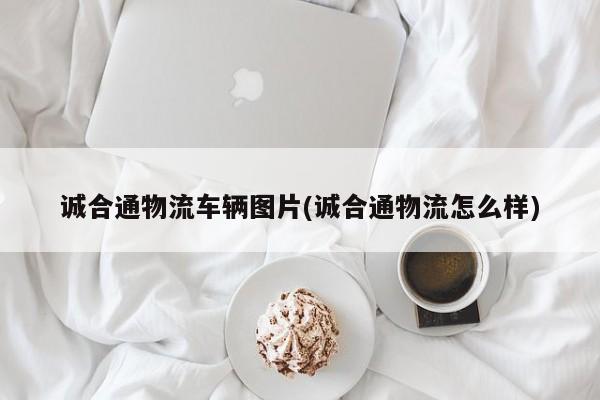 诚合通物流车辆图片(诚合通物流怎么样)